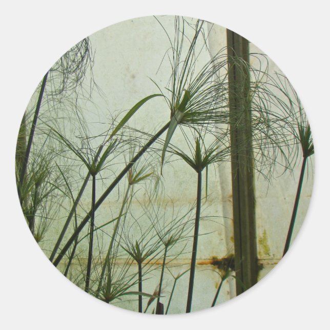 Adesivo Redondo Papyrus (Frente)