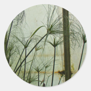 Adesivo Redondo Papyrus