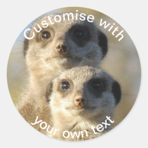 Adesivo Redondo Par Personalizado de Meerkats