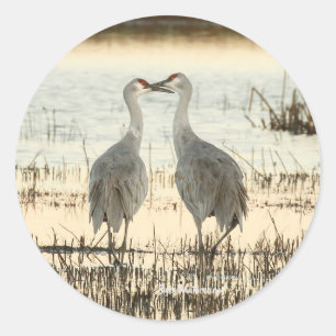 Adesivo Redondo Par Sandhill Crane