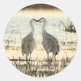 Adesivo Redondo Par Sandhill Crane Sunrise