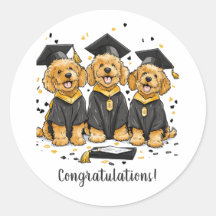 Parabéns Graduação Cães de Goldendoodle