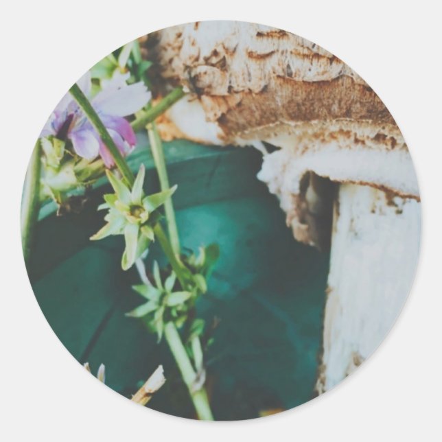 Adesivo Redondo Parasol mushroom, Swedish Archipelago, Sweden (Frente)