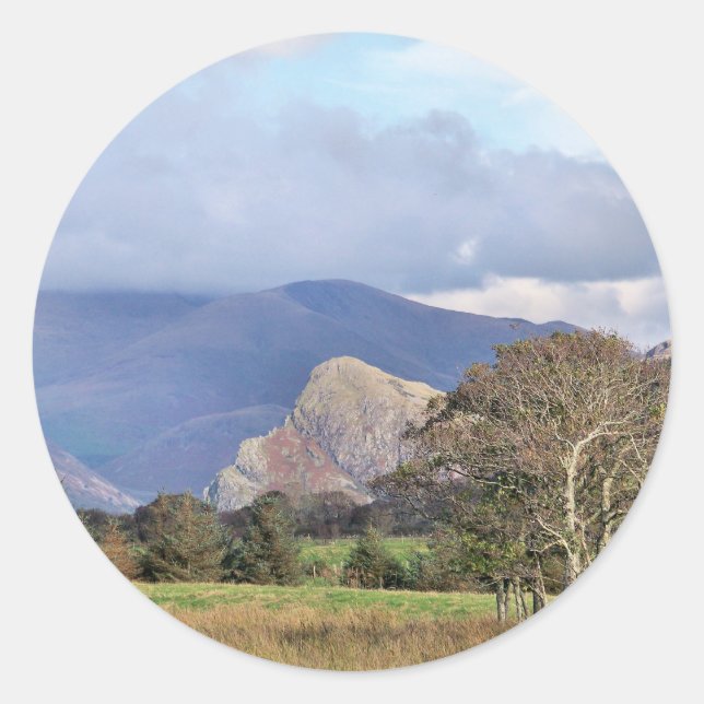 ADESIVO REDONDO PAREDES (Frente)