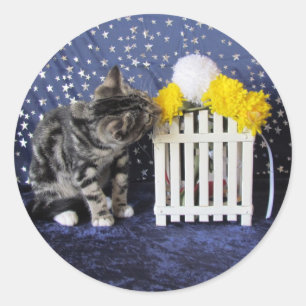 Adesivo Redondo Parem e cheirarem as flores - Gato / Gatinho