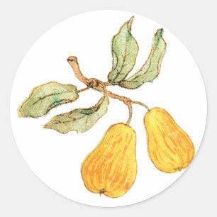 Adesivo Redondo Pares bonito da pera