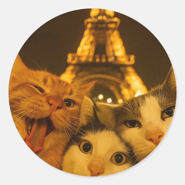 Adesivo Redondo Paris Night Cat Selfie Squad Lover                 (Frente)
