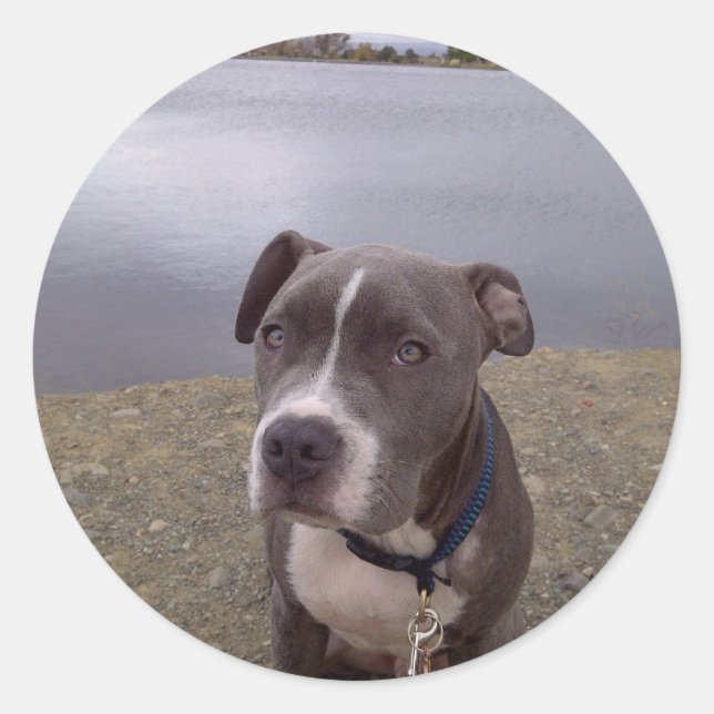 Adesivo Redondo Parque Koa Vasona (Frente)