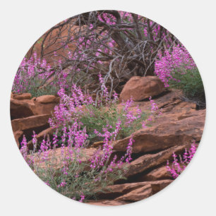 Adesivo Redondo Parque Nacional Capitol Reef, Utah, EUA