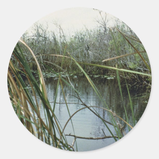Adesivo Redondo Parque Nacional Everglades (Frente)