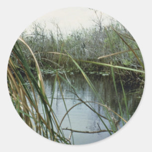 Adesivo Redondo Parque Nacional Everglades