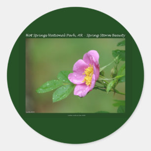 Adesivo Redondo Parque Nacional Hot Springs, AR Presentes Wild Ro