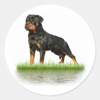 Adesivo Redondo Pasha Earl Antonius