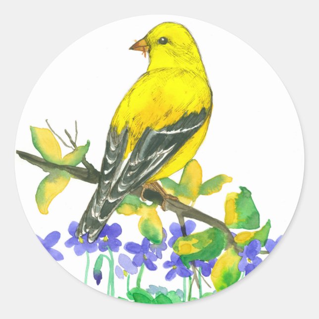 Adesivo Redondo Pássaro Amarelo Goldfinch Aquarela Violetas Púrpur (Frente)