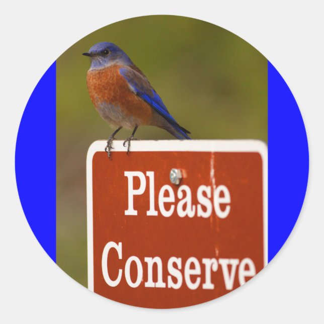 Adesivo Redondo pássaro azul (Frente)