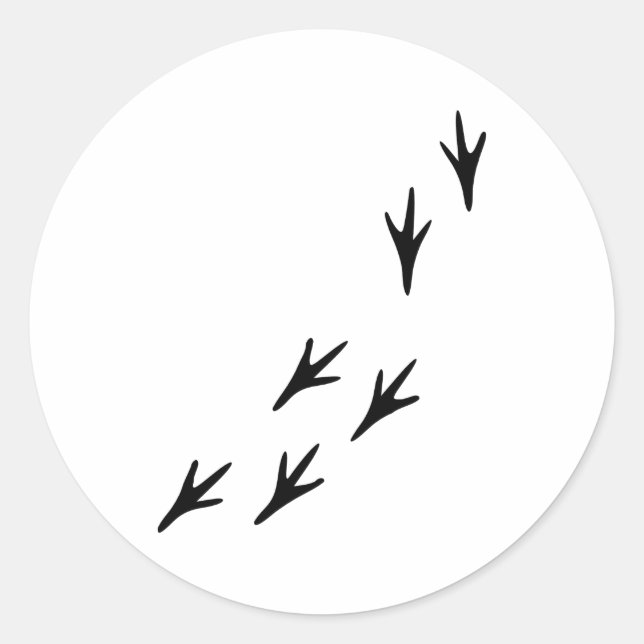 Adesivo Redondo Pássaro - Rastreios (Frente)
