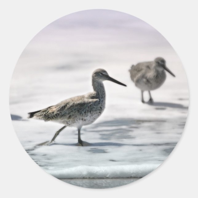 Adesivo Redondo Pássaros (Frente)