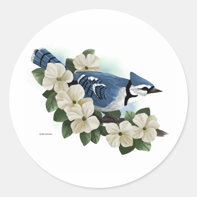 Adesivo Redondo Pássaros (Frente)