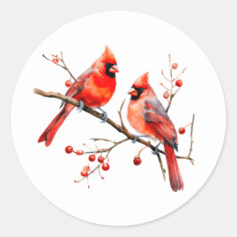 Adesivo Redondo Pássaros Cardinais Vermelhos no Ramo de Árvore Hol