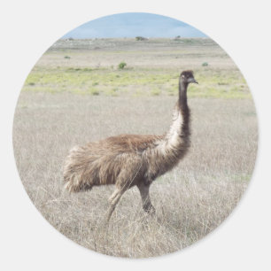 Adesivo Redondo passo do emu