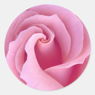 Adesivo Redondo PASTEL PINK Rose - Casamento de Envelope