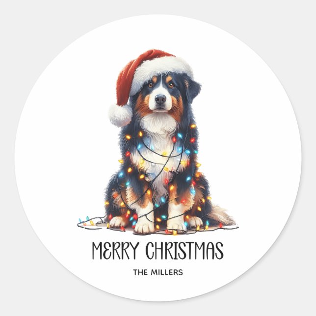 Adesivo Redondo Pastor australiano molhado à luz de Natal (Frente)