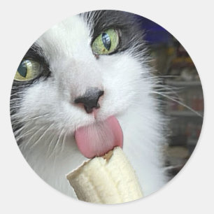 Adesivo Redondo "Patinete com lanche de bananas"