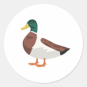 Adesivo Redondo Pato de Mallard