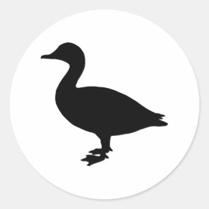 Adesivo Redondo Pato de Sheldrake