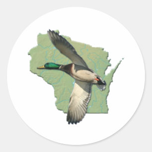 Adesivo Redondo Pato de Wisconsin