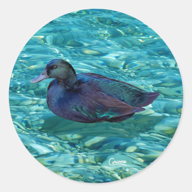 Adesivo Redondo Pato Ebony - Vinhetas de envelopes (Frente)