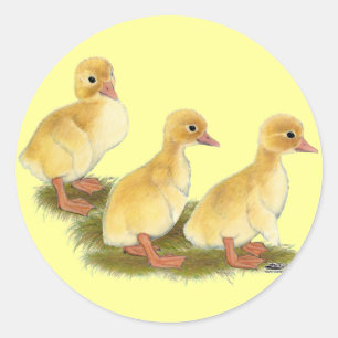 Adesivo Redondo Patos Amarelos