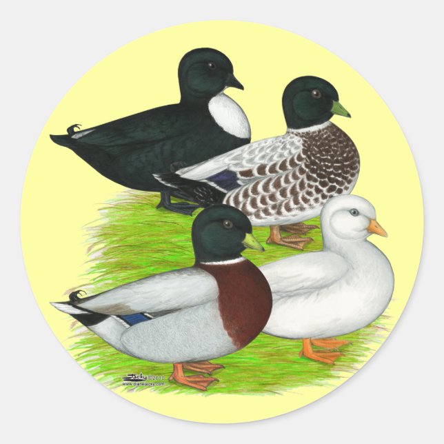 Adesivo Redondo Patos: Chame Quarteto (Frente)