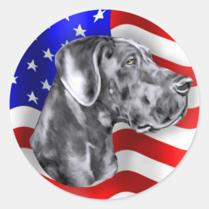 Adesivo Redondo Patriot Dane Blue UC
