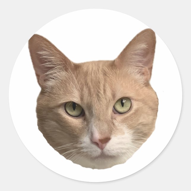 Adesivo Redondo Pau de Floyd! (Frente)