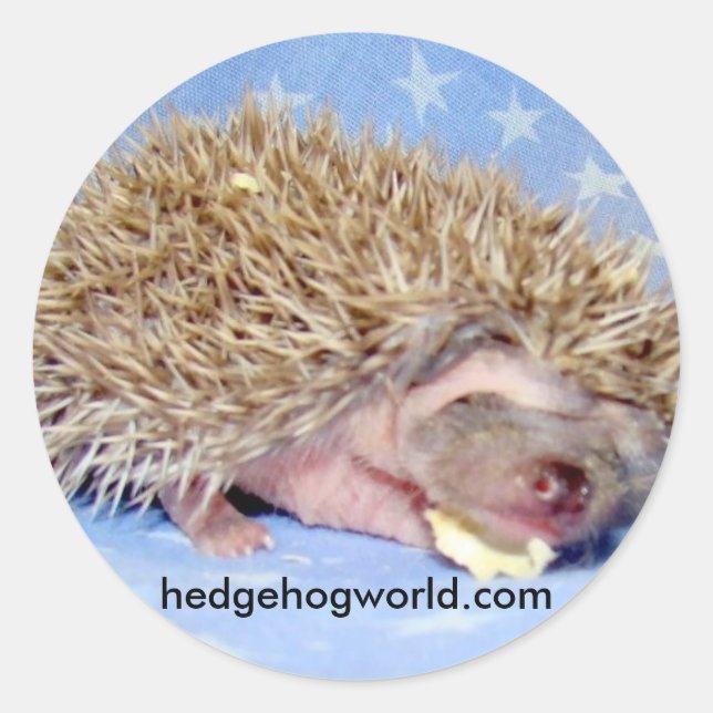 Adesivo Redondo Pau doce para bebê (Frente)