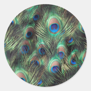 Adesivo Redondo Pavock Feather Background