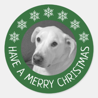 Adesivo Redondo Peaceful White Dog Photo Merry Christmas Green