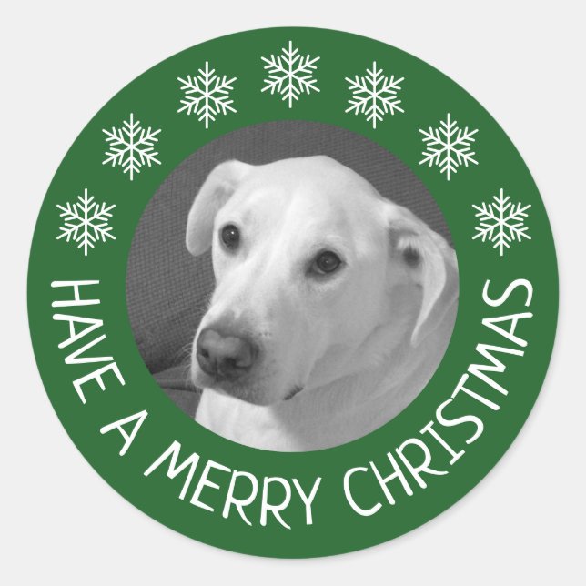 Adesivo Redondo Peaceful White Dog Photo Merry Christmas Green (Frente)