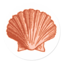 Peach Orange Seashell Stickers