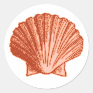 Adesivo Redondo Peach Orange Seashell Stickers
