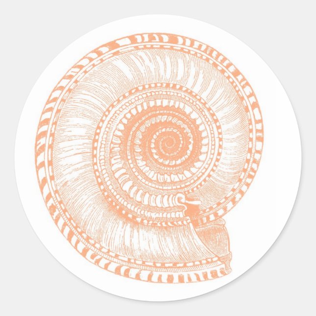 Adesivo Redondo Peach Seashell Sticker (Frente)