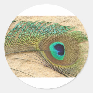 Adesivo Redondo Peacock eye