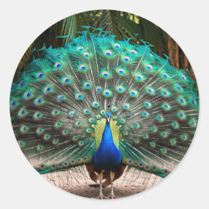 Adesivo Redondo Peacock Feather Fanning