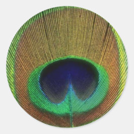 Adesivo Redondo Peacock Feather Sticker