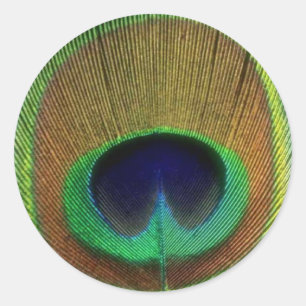 Adesivo Redondo Peacock Feather Sticker