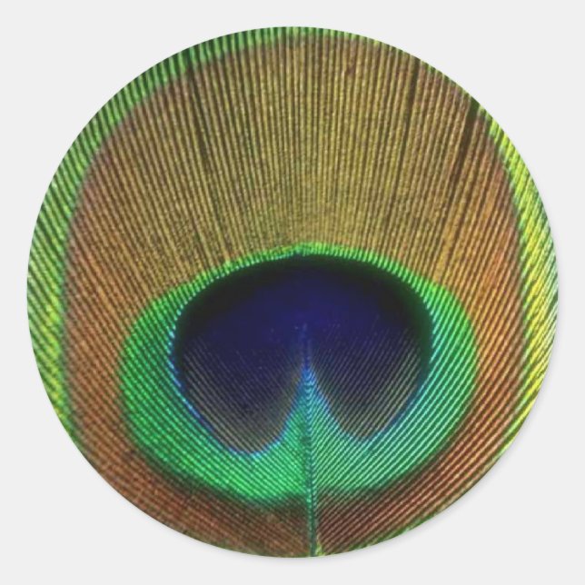 Adesivo Redondo Peacock Feather Sticker (Frente)