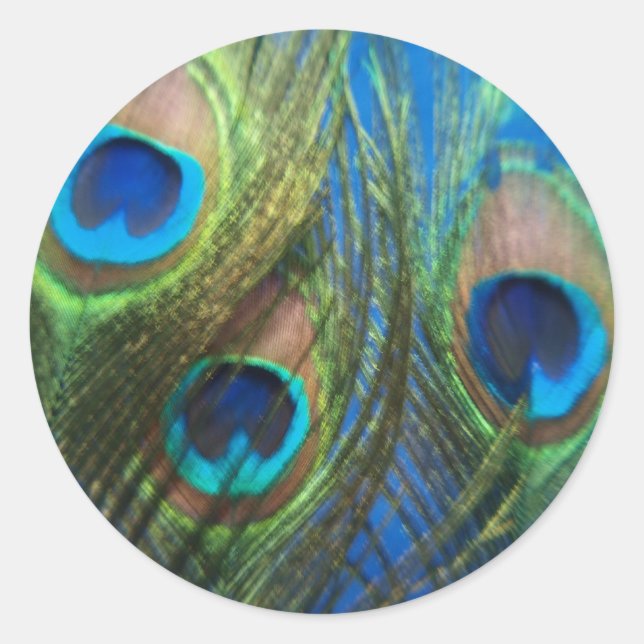 Adesivo Redondo Peacock Peacock Peacock, Vida Estática (Frente)