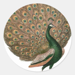Adesivo Redondo Peafowl (pavão) de arte venenosa despenca ouro ver