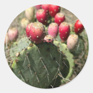 Adesivo Redondo Pear Cactus Prickly No Texas